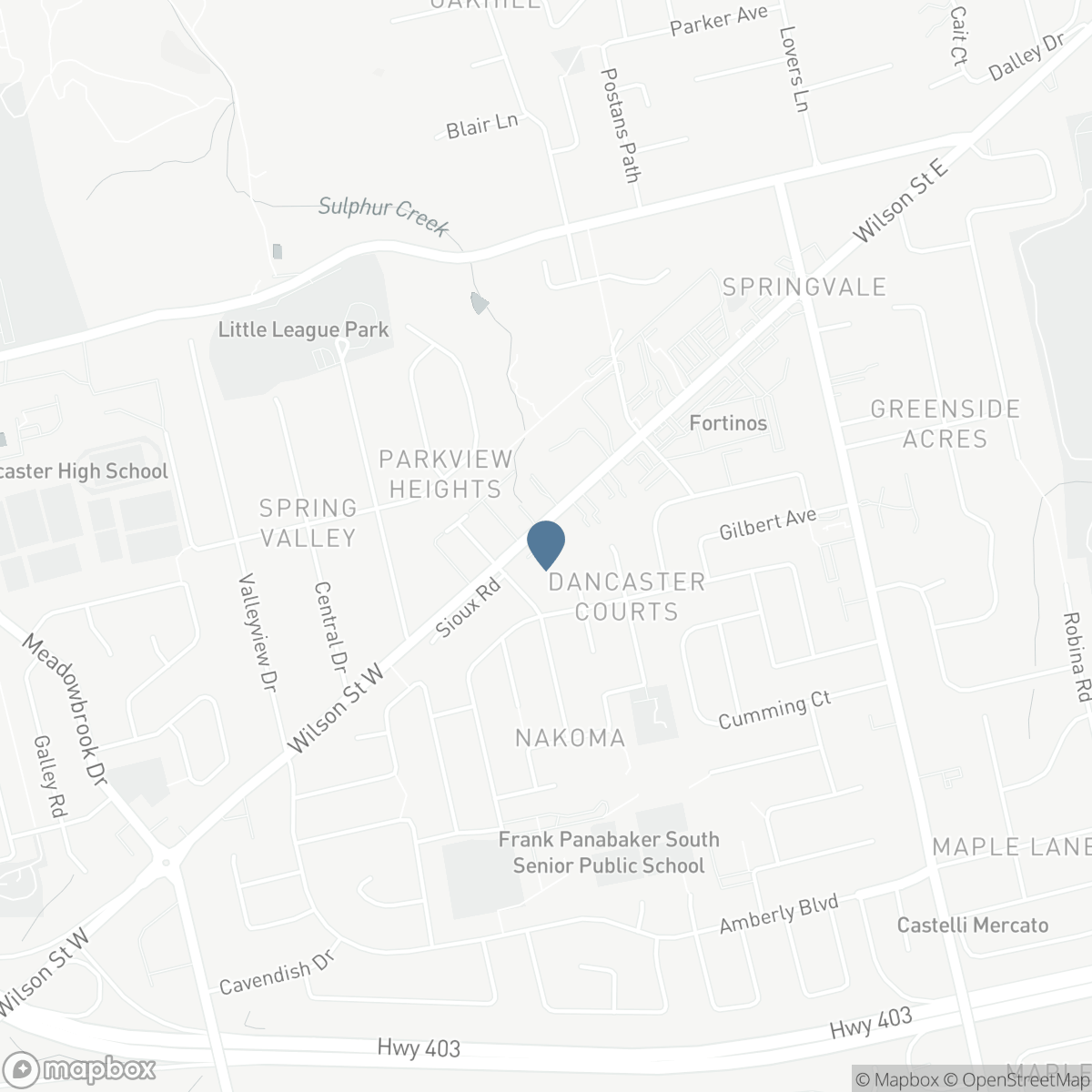 150 WILSON Street W Unit# 308, Ancaster, Ontario L9G 4E7